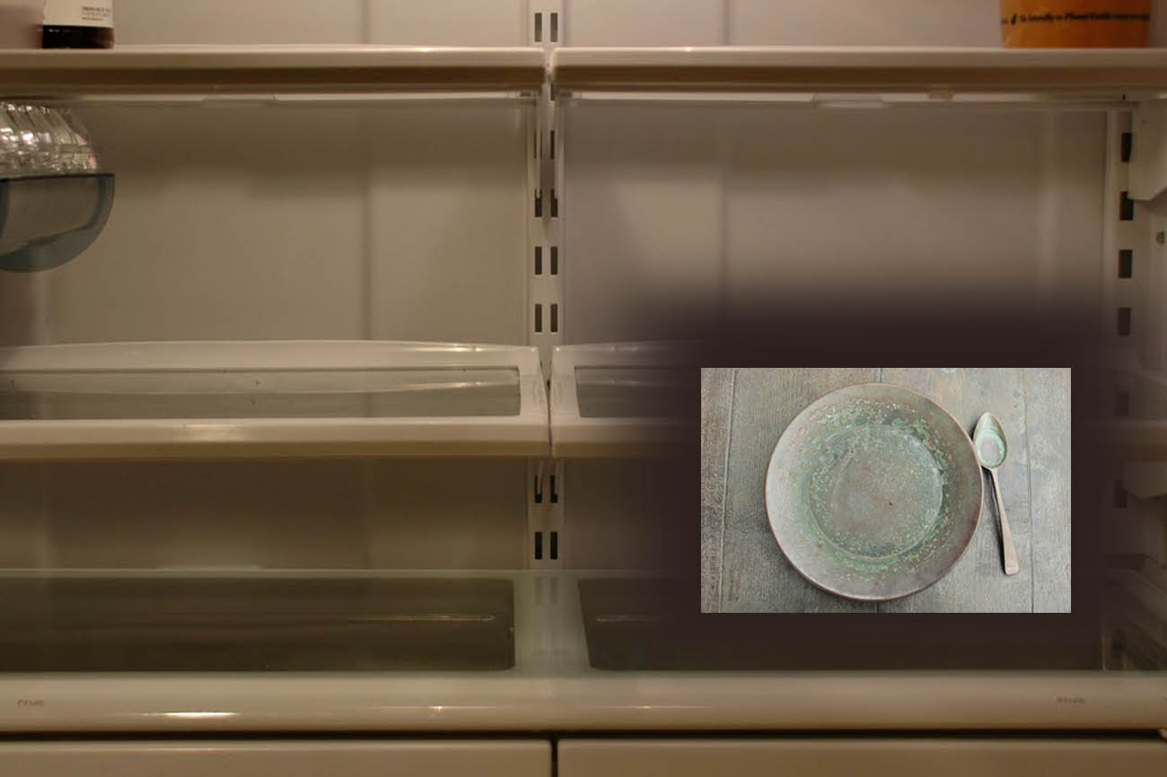 Empty Fridge