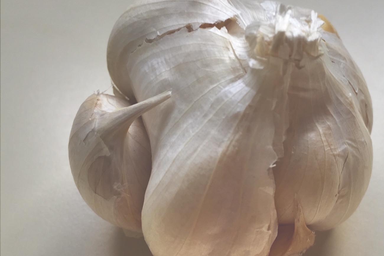 Garlic Head