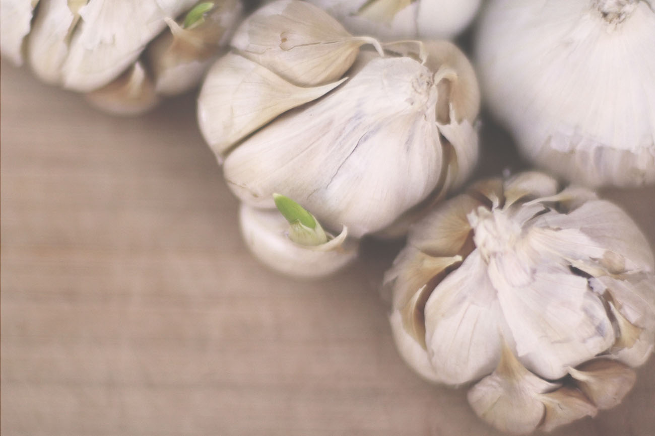 Garlic